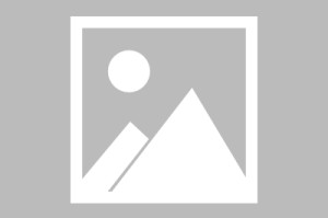 足球世界杯冠军历届名单图片足球世界杯冠军表历届名单图片